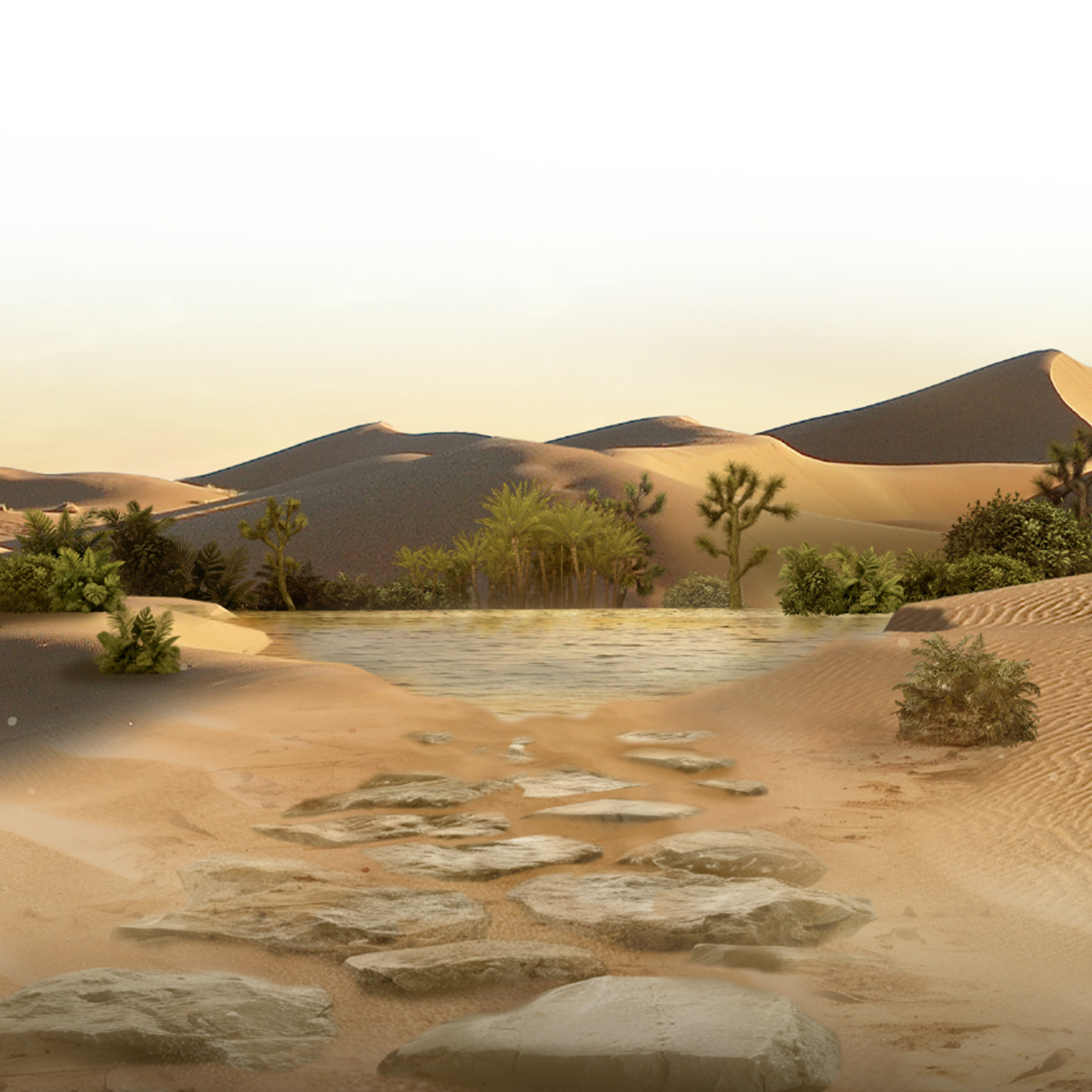Uncovering Opportunities in Shifting Sands